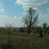 Current Photograph of the north side of the Common Pasture