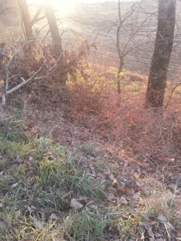 Whiskey Point, Geary County 