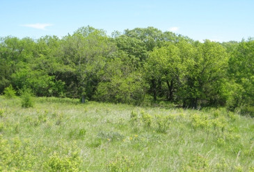 Land where the Westmoreland Slaughterhouse once stood