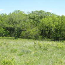 Land where the Westmoreland Slaughterhouse once stood