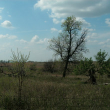 Current Photograph of the north side of the Common Pasture